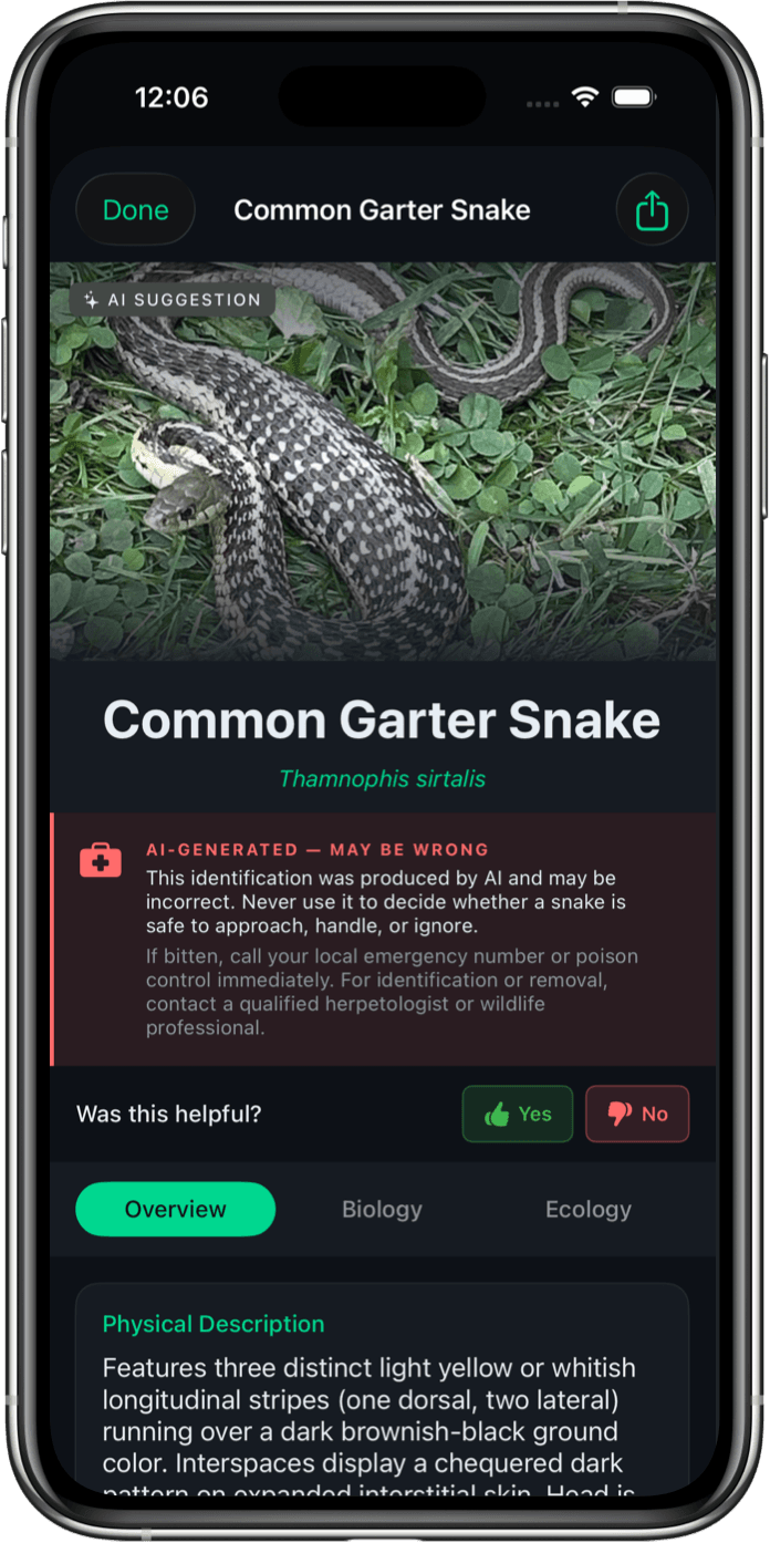 Snake Identifier App Interface
